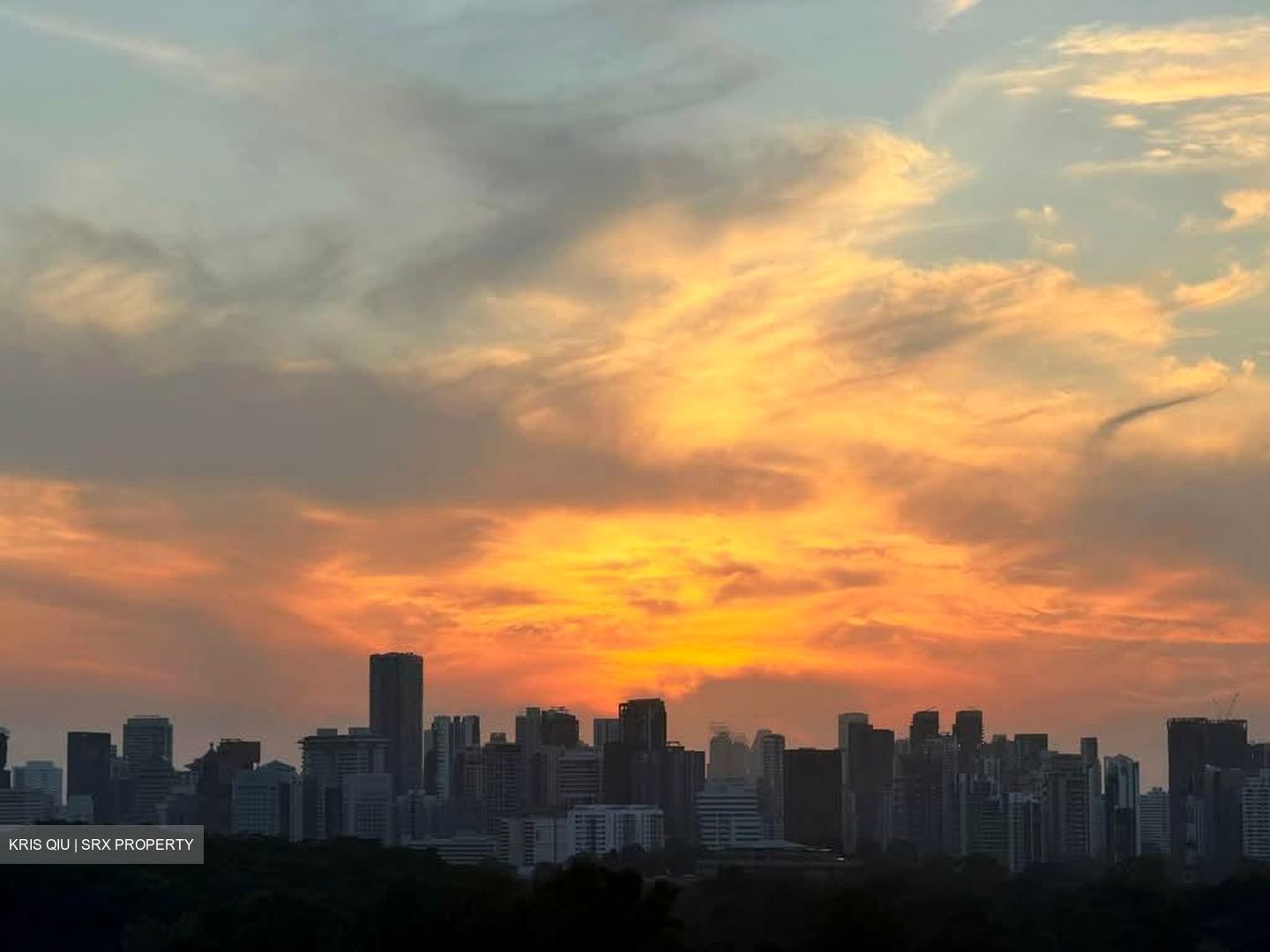 15 Holland Hill (D10), Apartment #576268311